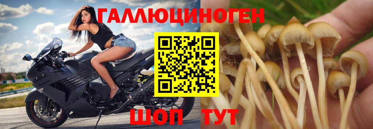 Псилоцибиновые грибы мицелий  Вход с VPN  Ивантеевка  купить наркотик  Галлюциногенные грибы мухоморы 