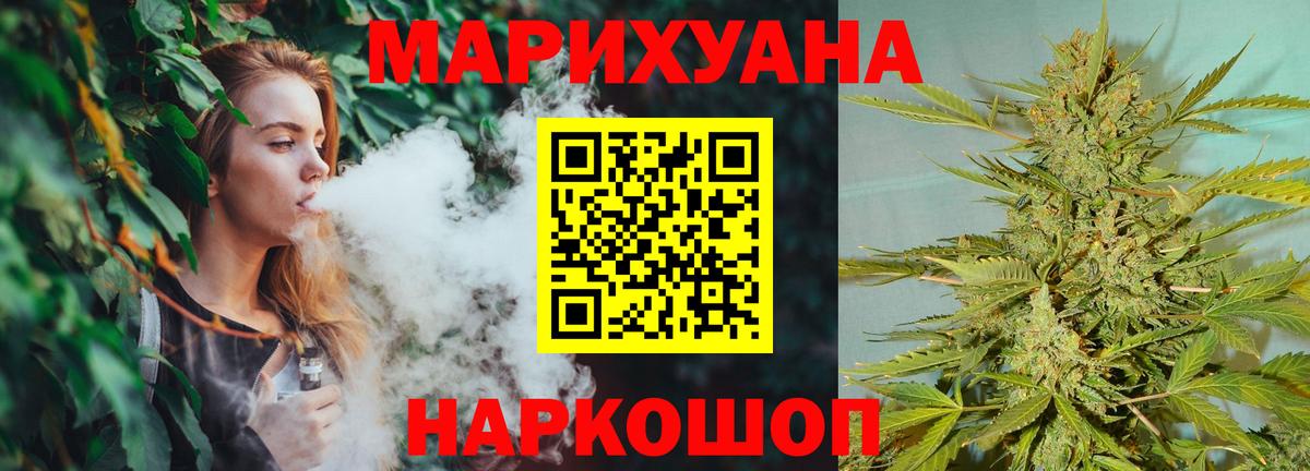 Бошки Шишки план Ивантеевка